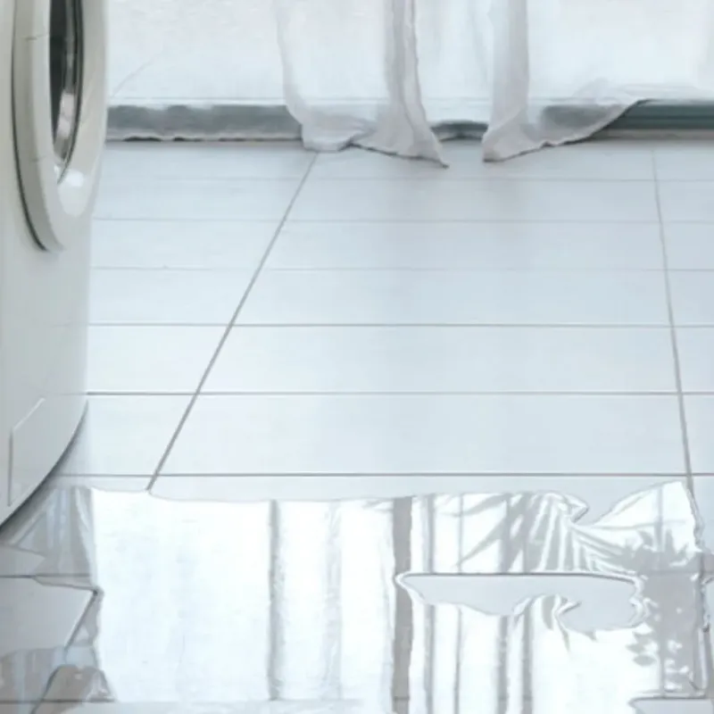 Appliance Leak Cleanup in Chackbay, LA