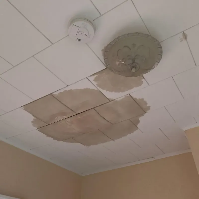 Ceiling Water Damage Repair in Chackbay, LA