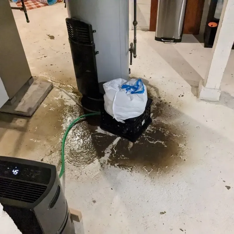 Sewage Backup Cleanup Service in Chackbay, LA